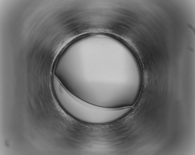 X0000103150895200809121813