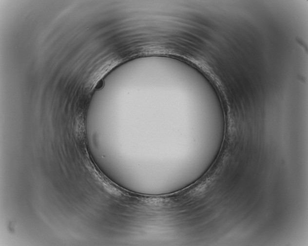 X0000103150897200809121813