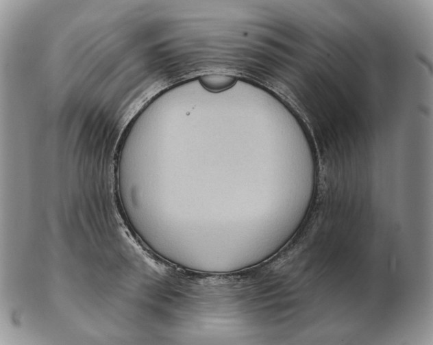 X0000103150898200809121813