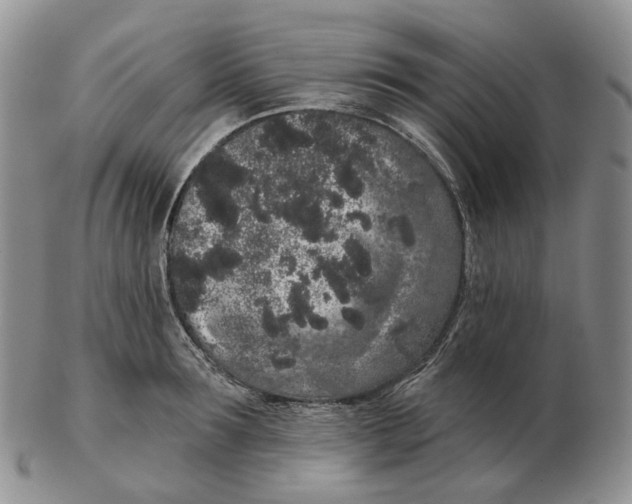 X0000103150899200809121813