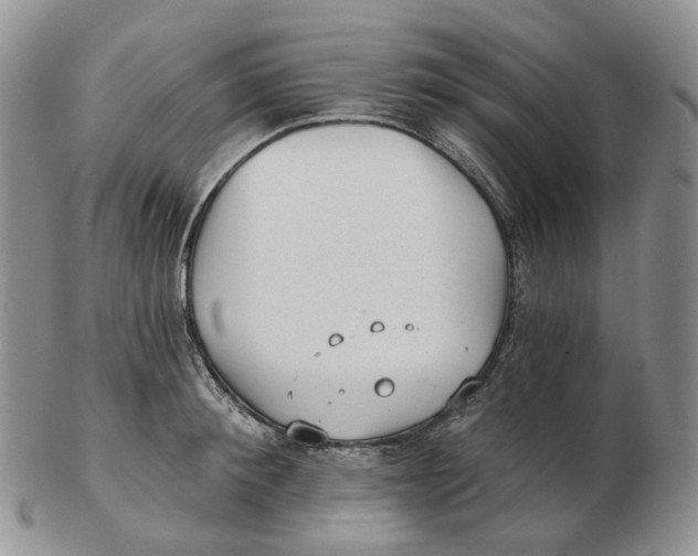 X0000103150900200809121813