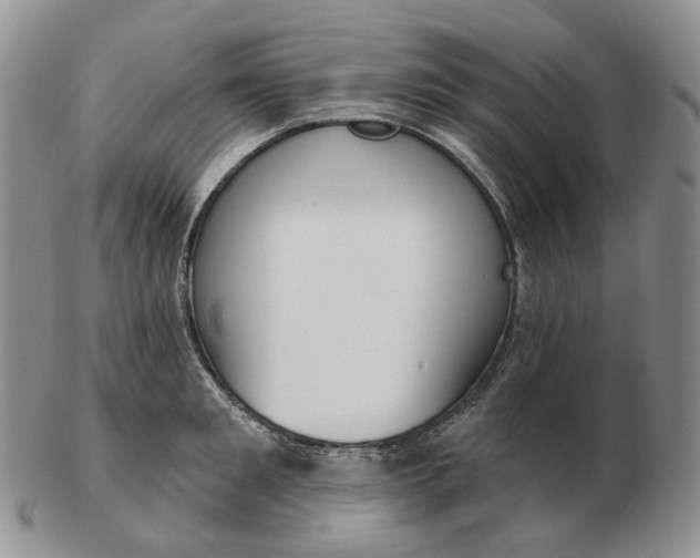 X0000103150901200809121813