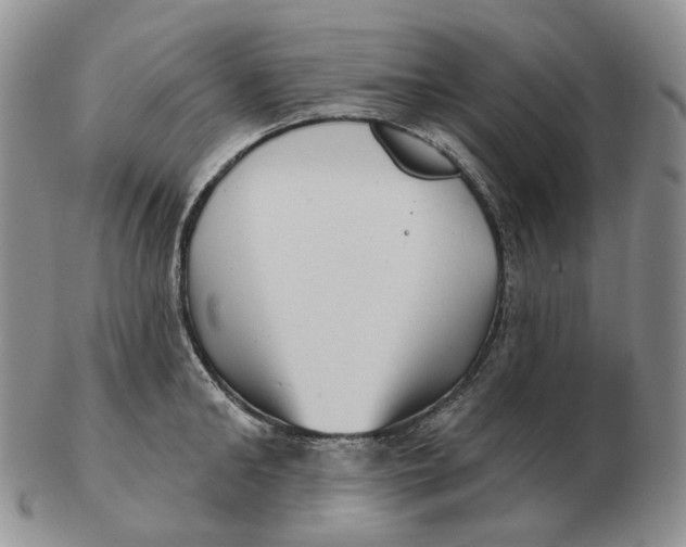 X0000103150902200809121813