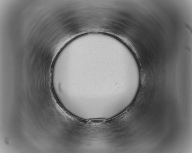 X0000103150903200809121813