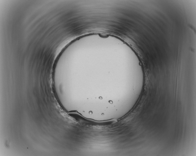 X0000103150904200809121813