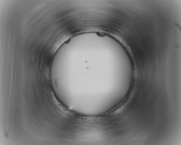 X0000103150905200809121813