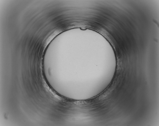 X0000103150906200809121813