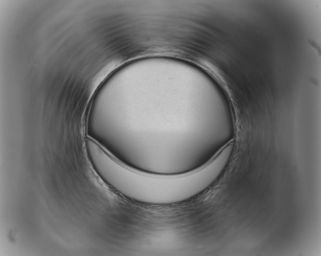 X0000103150907200809121813