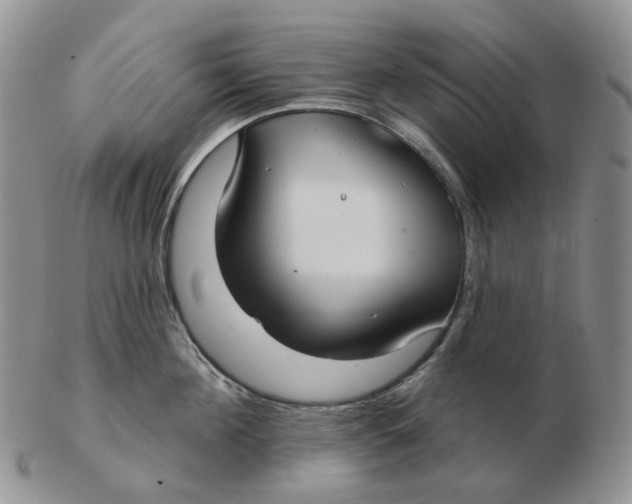 X0000103150908200809121813