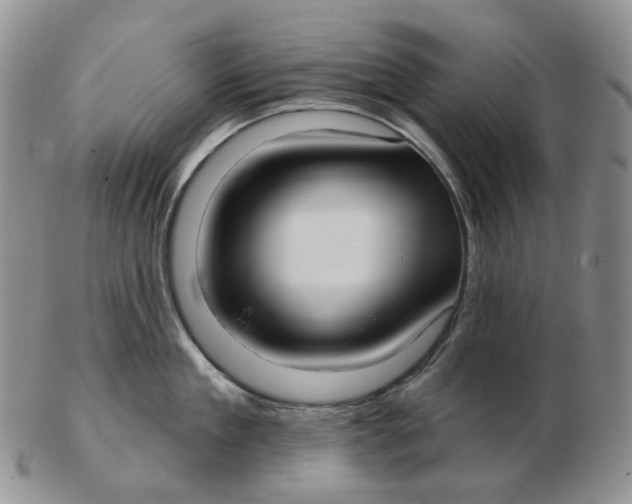 X0000103150909200809121813