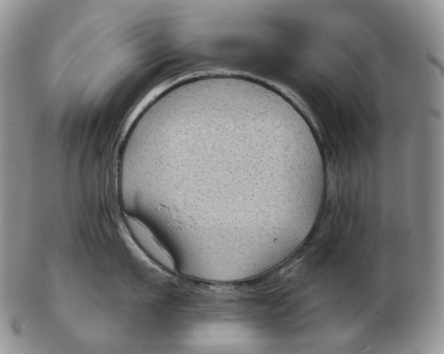 X0000103150911200809121813