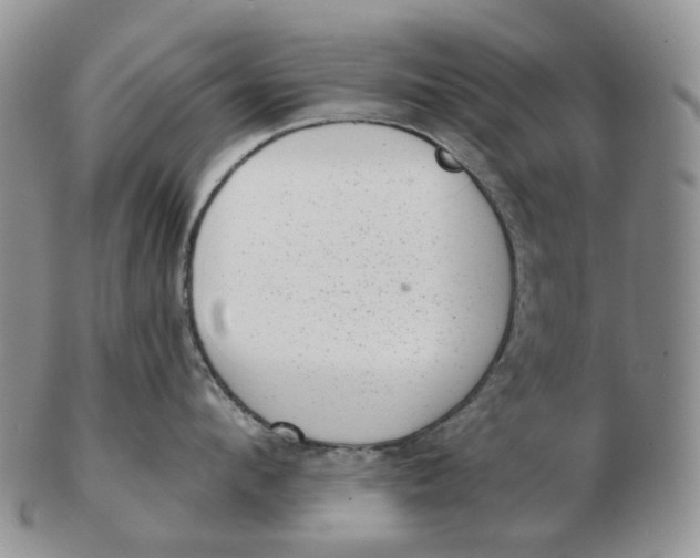 X0000103150912200809121813