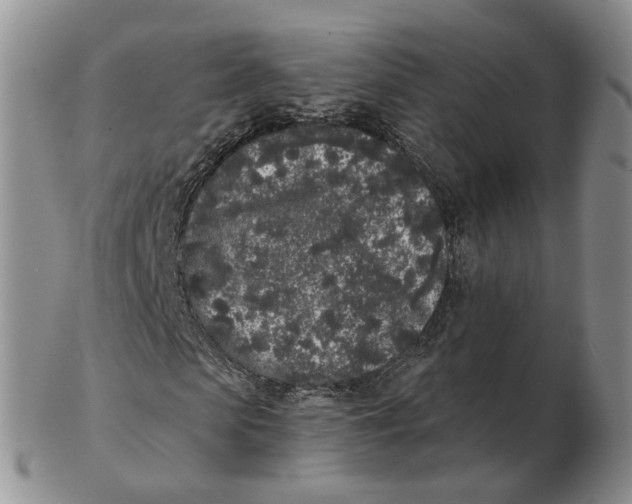 X0000103150913200809121812