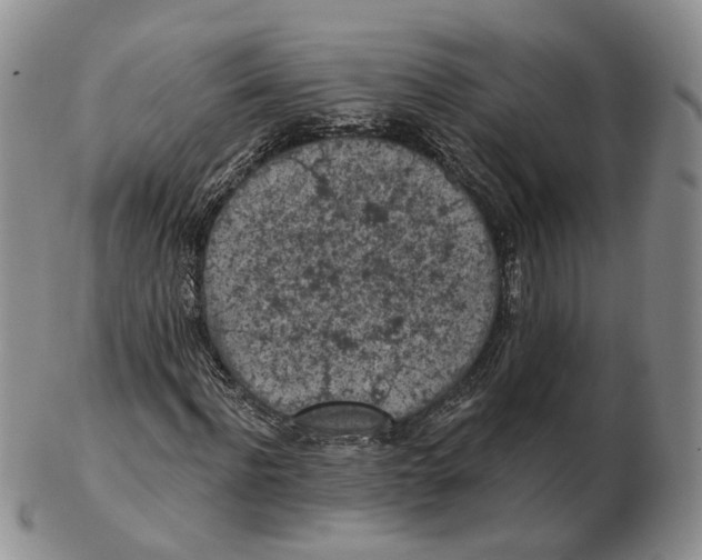 X0000103150916200809121812