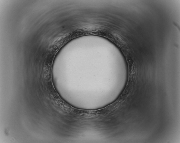 X0000103150917200809121812