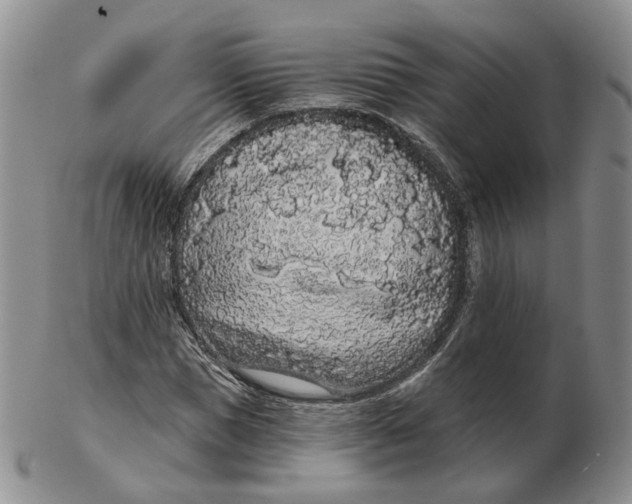 X0000103150921200809121813