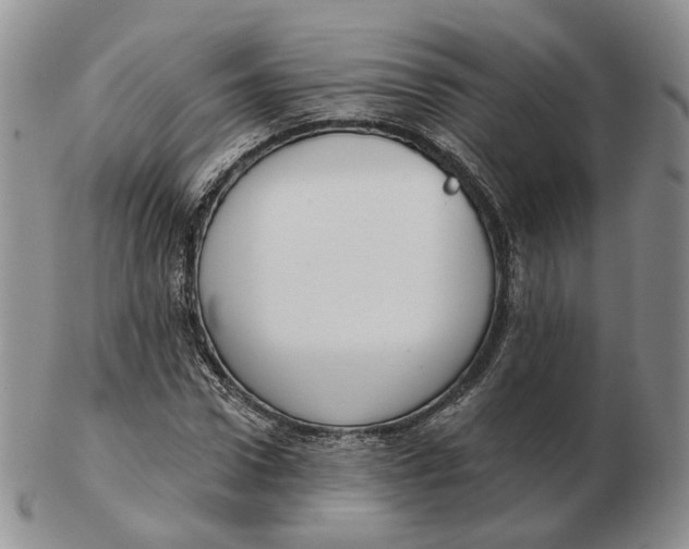 X0000103150922200809121813