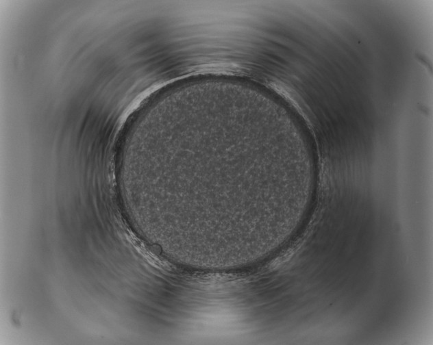 X0000103150923200809121813