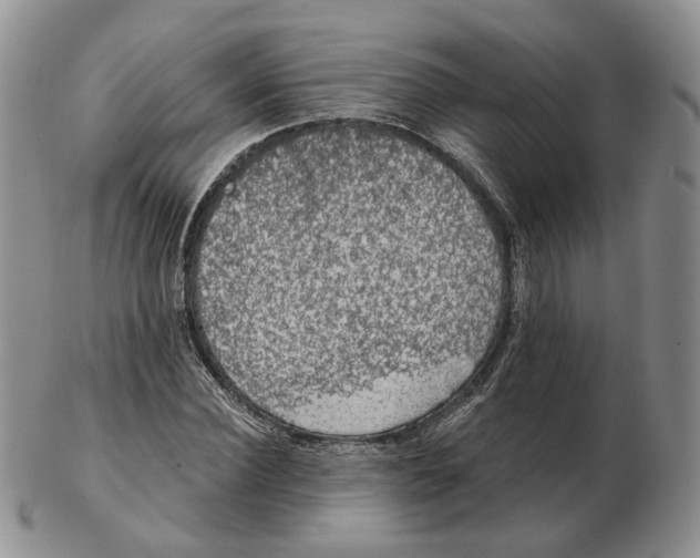 X0000103150924200809121813