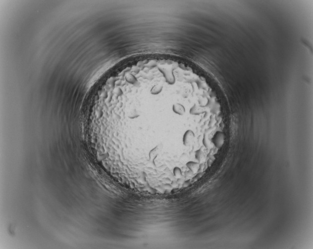 X0000103150925200809121813