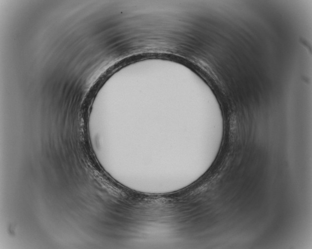 X0000103150926200809121813