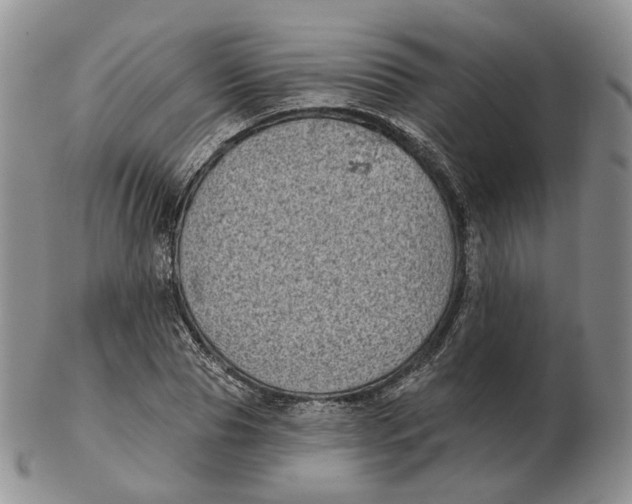 X0000103150929200809121813