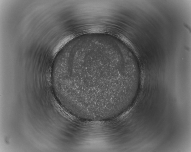 X0000103150930200809121813