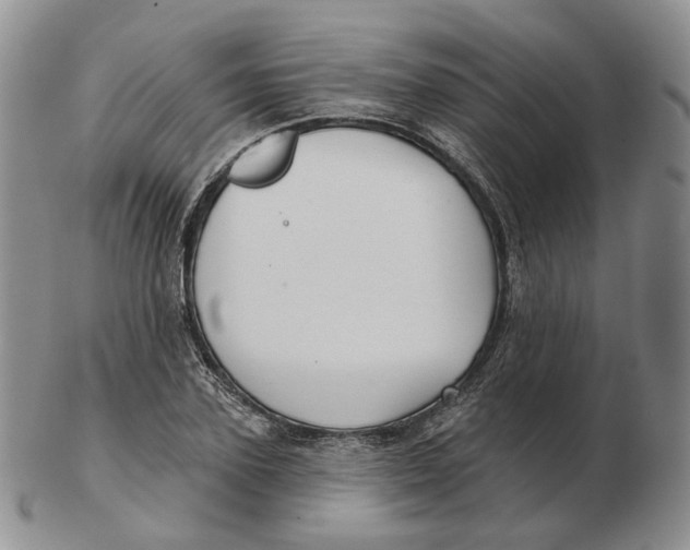 X0000103150931200809121813