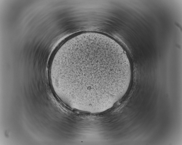 X0000103150932200809121813