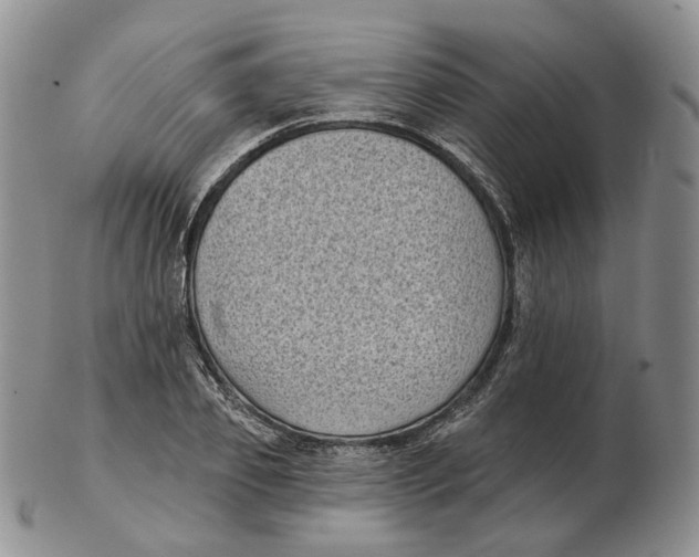 X0000103150933200809121813