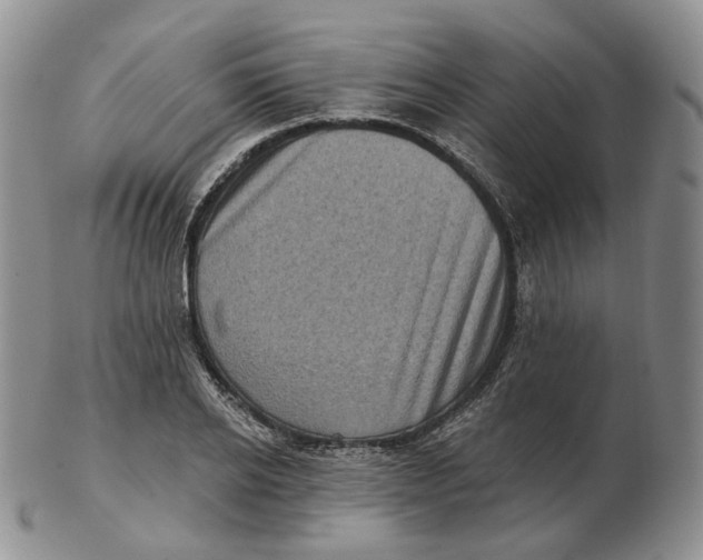 X0000103150934200809121813