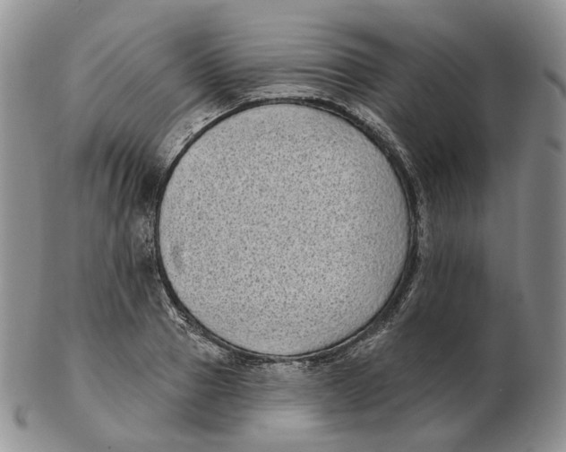 X0000103150937200809121813