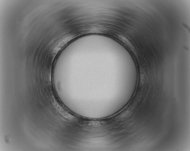 X0000103150938200809121813