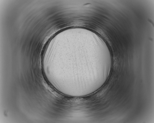 X0000103150939200809121813