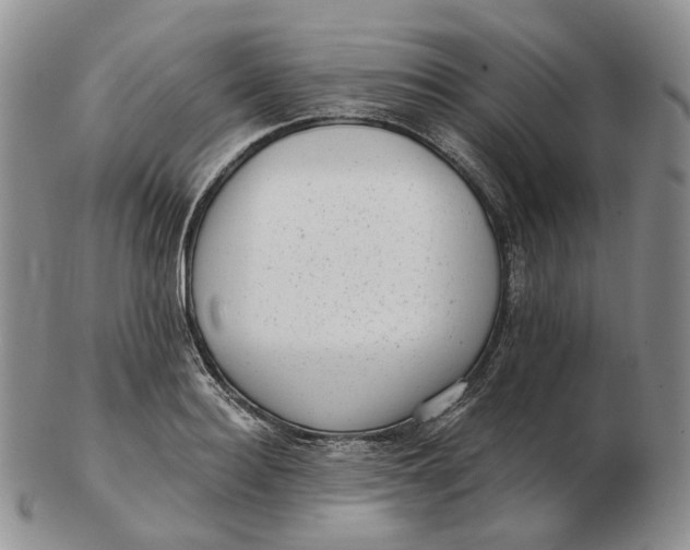 X0000103150940200809121813