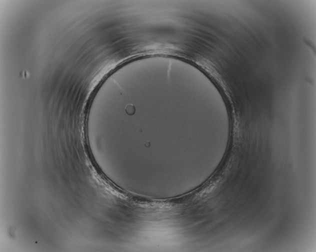 X0000103150941200809121813