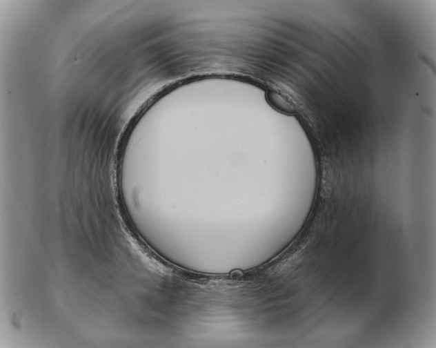 X0000103150942200809121813