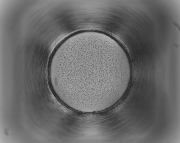 X0000103150943200809121813