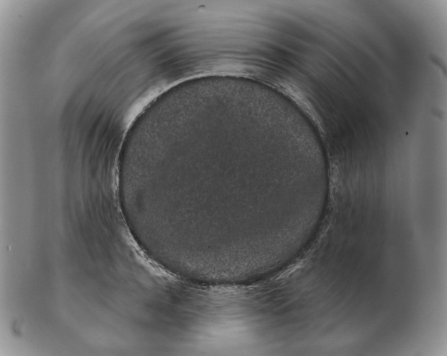 X0000103150944200809121813