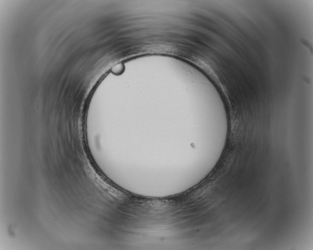 X0000103150947200809121813