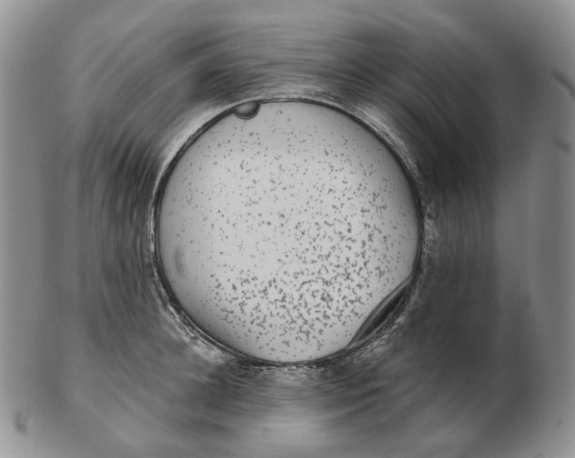 X0000103150948200809121813