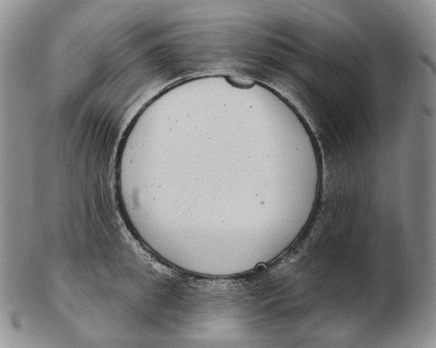 X0000103150949200809121813