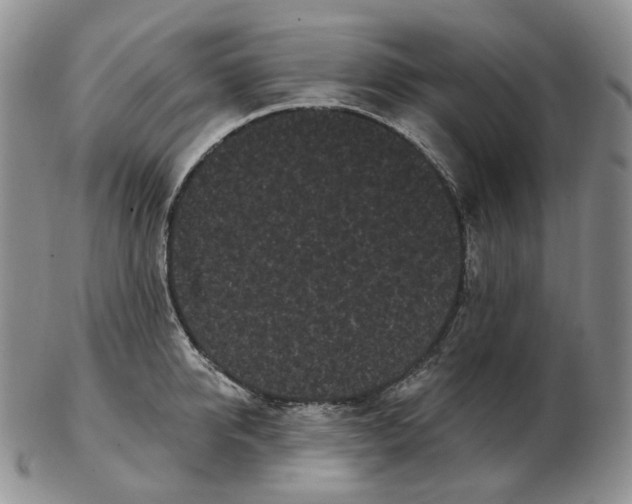 X0000103150950200809121813