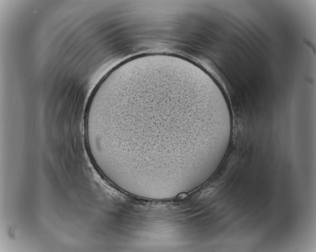 X0000103150951200809121813