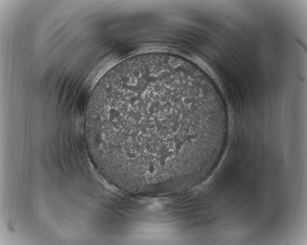 X0000103150953200809121813