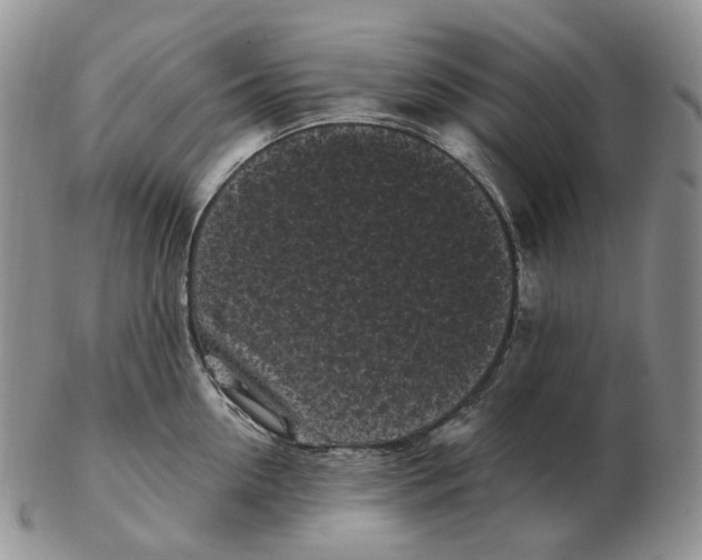 X0000103150954200809121813