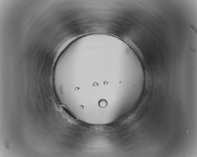 X0000103150956200809121813