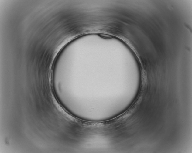 X0000103150957200809121813