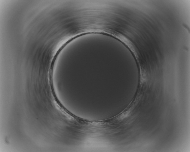 X0000103150958200809121813