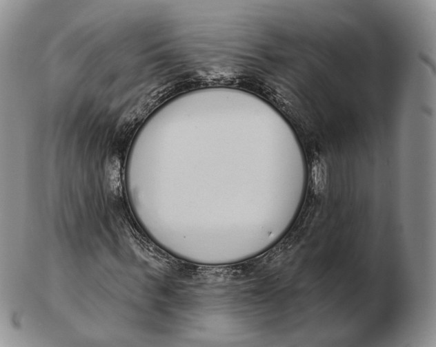 X0000103150963200809121812